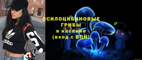сатива Белокуриха