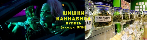 сатива Белокуриха