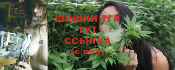 молекула духа Белоозёрский