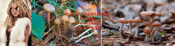 молекула духа Белоозёрский