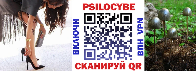 Псилоцибиновые грибы Psilocybe что такое MEGA ONION Кстово